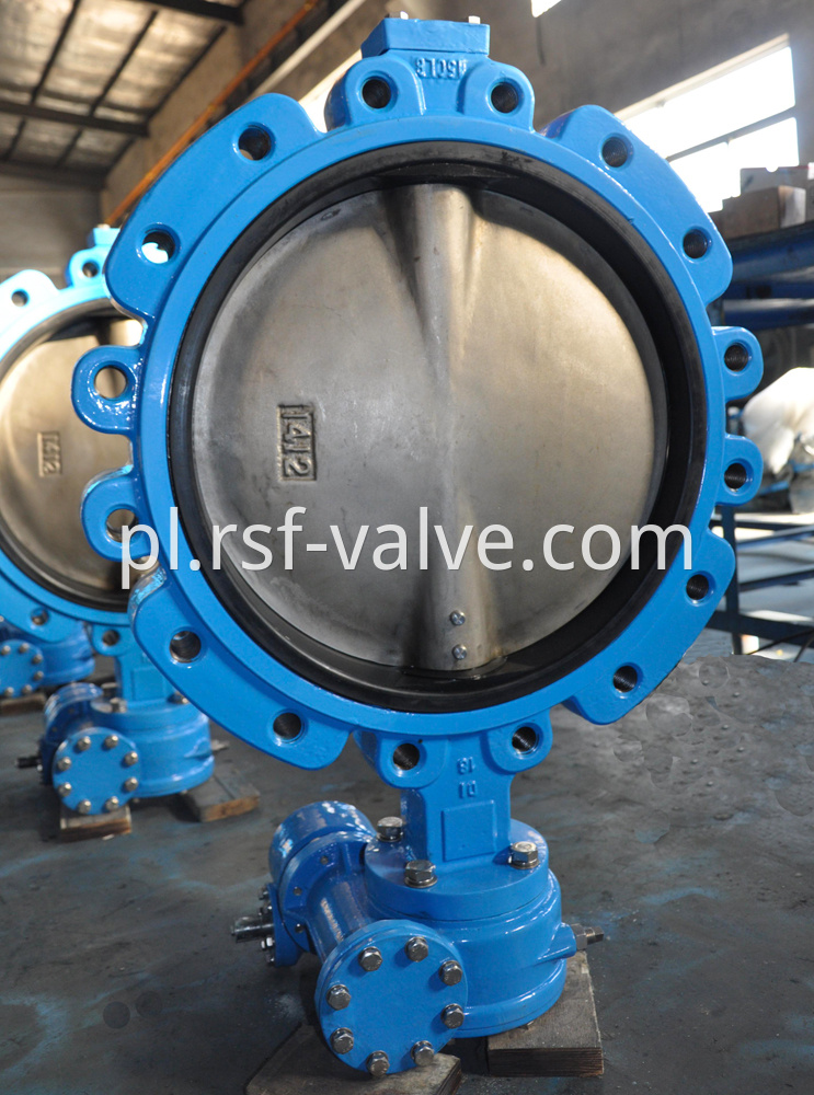 Concentric Lug Type Butterfly Valve 2